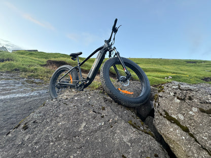 PowerPedal Ignite